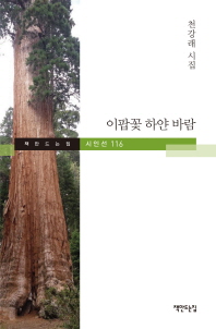 이팝꽃 하얀 바람 (책만드는집 시인선 116)